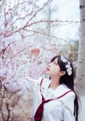 代女而嫁最新版_DVD完整在线观看